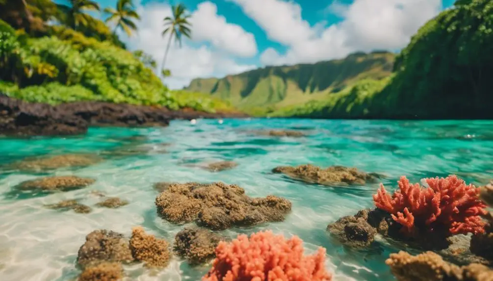 anini beach s tranquil beauty