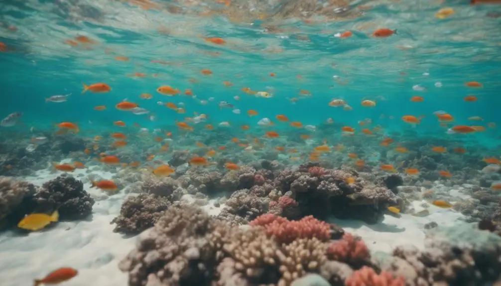 beautiful beach in hawaii