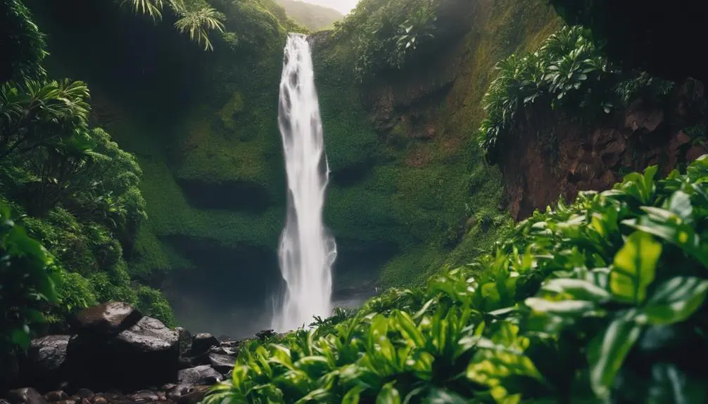 beautiful hike in hawaii