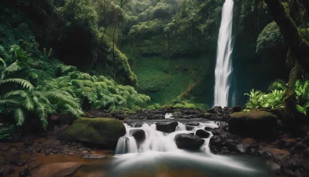 hiking to makaleha falls
