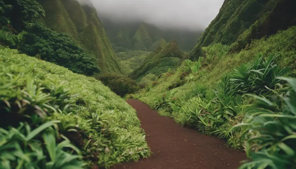 scenic hike in hawaii