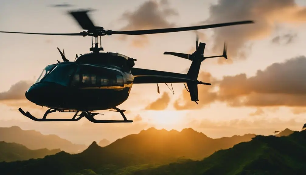 twilight flight over mountains