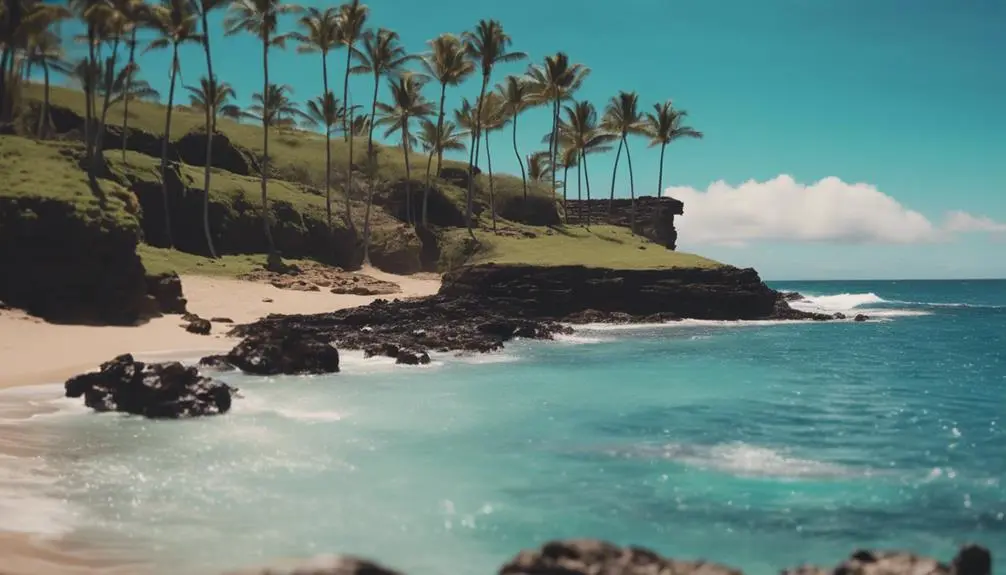 sunny beach in hawaii