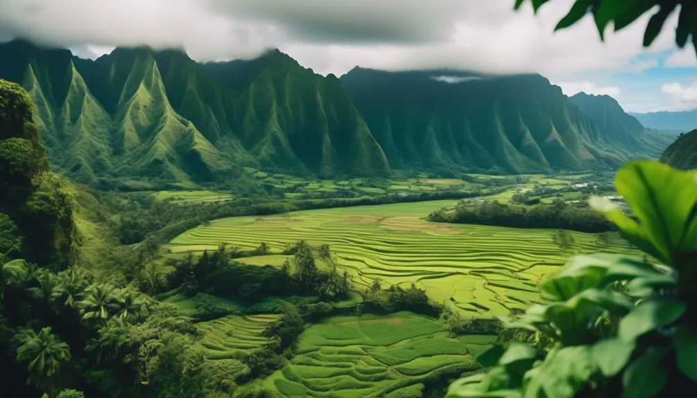 breathtaking view of hanalei