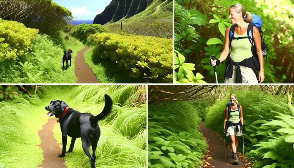 certified dog friendly hiking spots