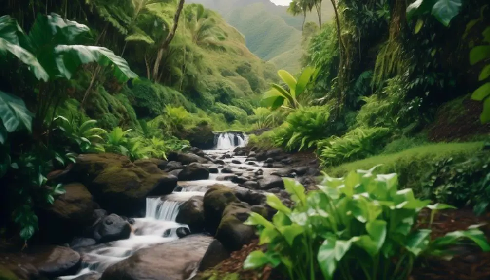 introduction to easy hiking