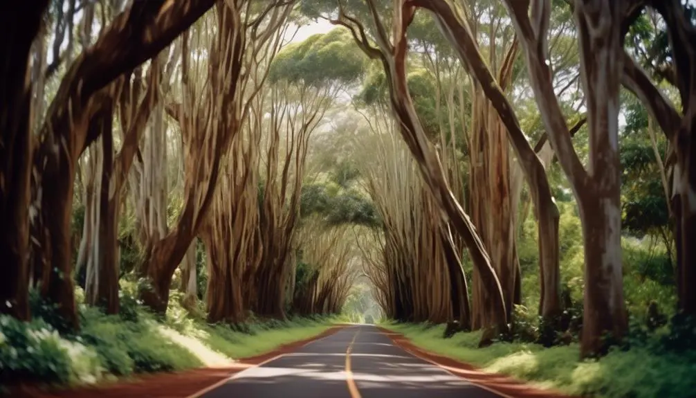 majestic road through trees