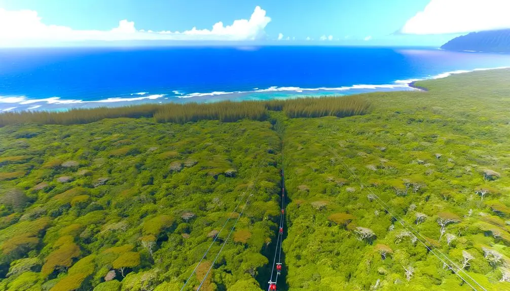top zipline tours in kauai
