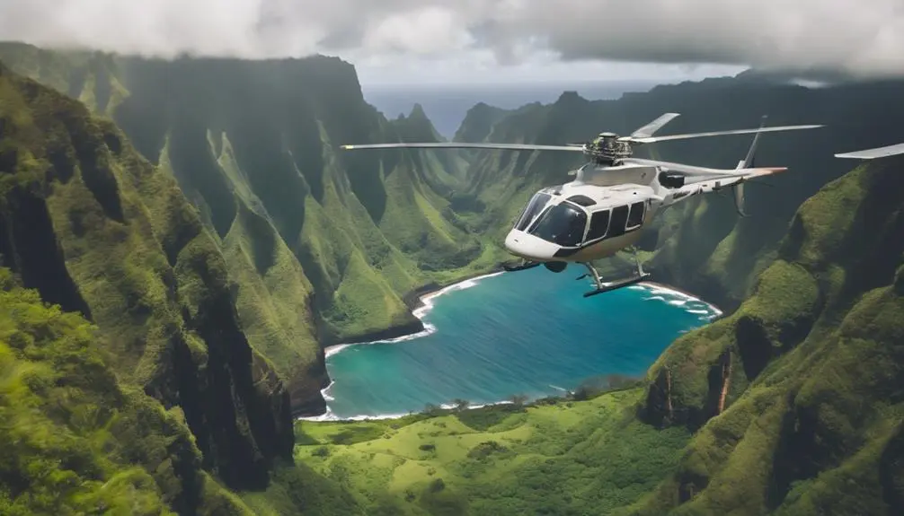 adventurous aerial sightseeing experience