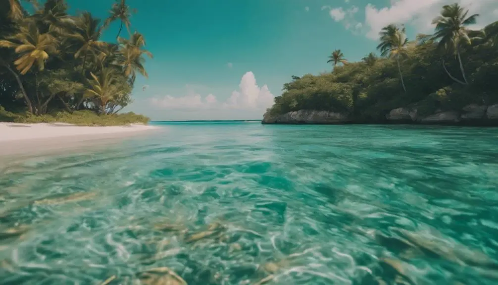 beach location in hawaii