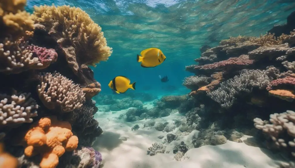beautiful beach in hawaii