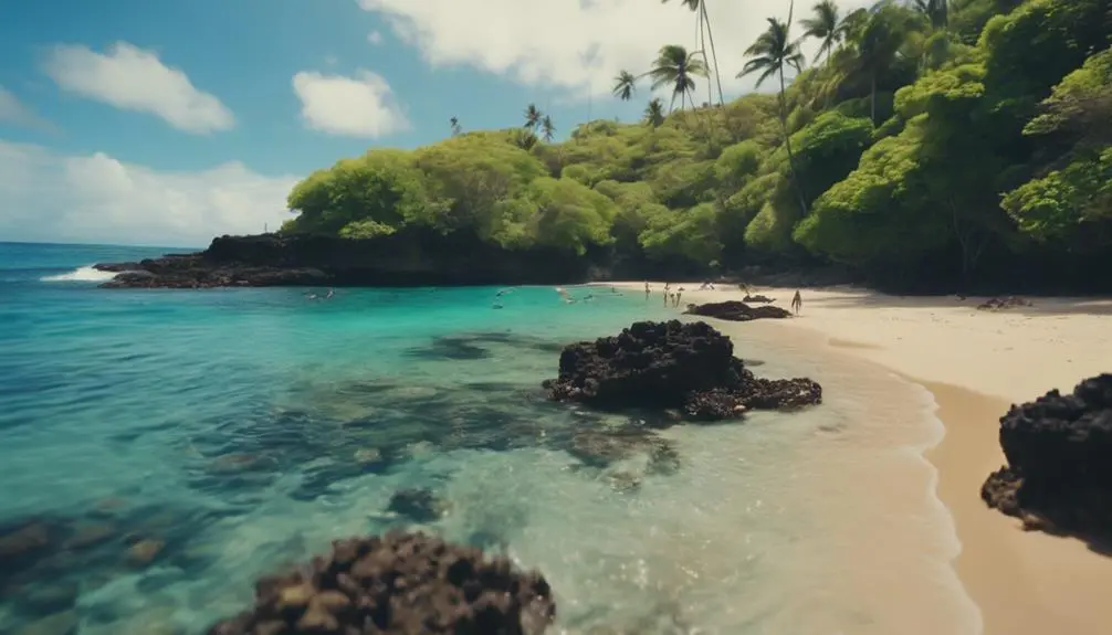 clear waters vibrant fish