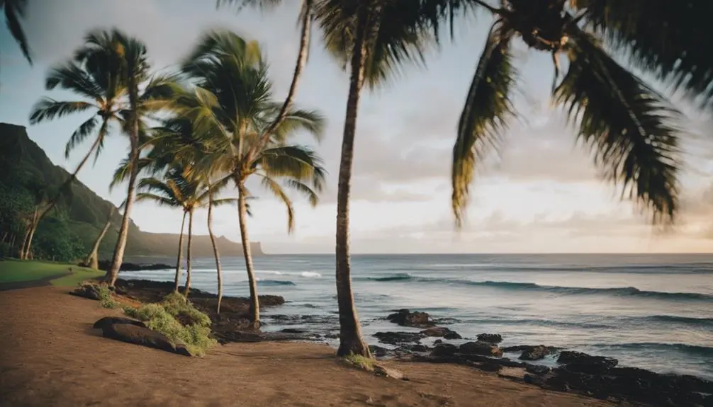 contact details and booking