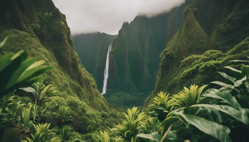 discover scenic kauai hikes