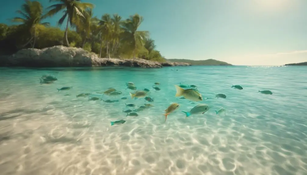 enjoying the hawaiian beach