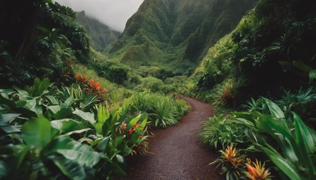 explore hidden kauai treasures