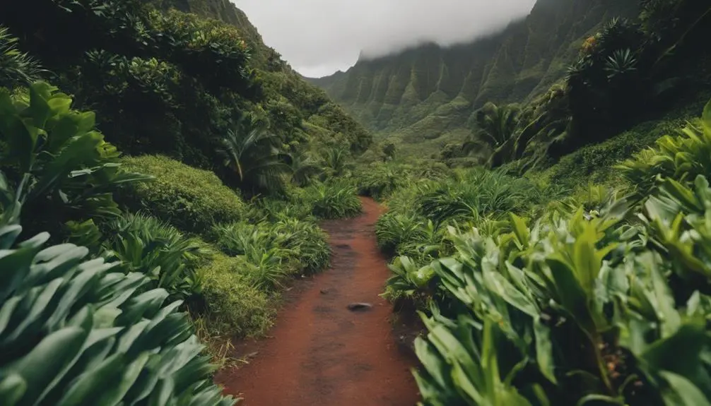 explore secret paths on kauai