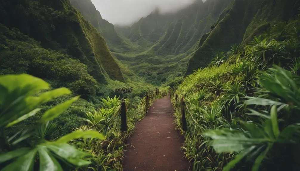 exploring hidden gems in kauai s trails