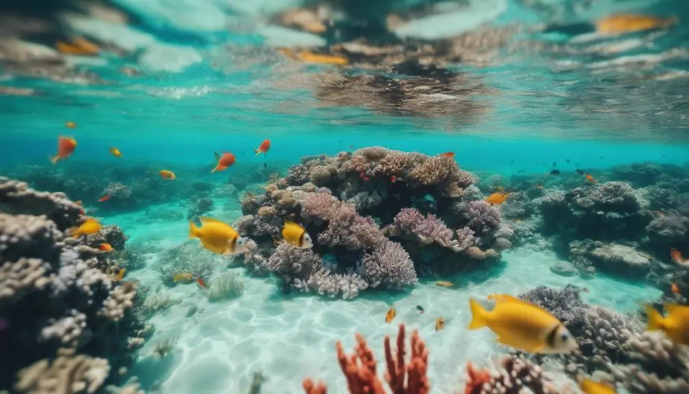 exploring marine life underwater