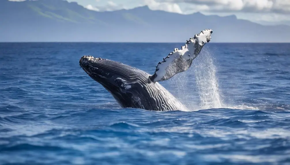 exploring social dynamics together