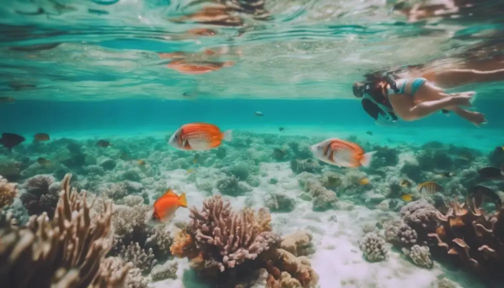 family friendly kauai snorkeling spots