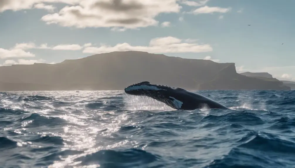 fostering innovation through r d