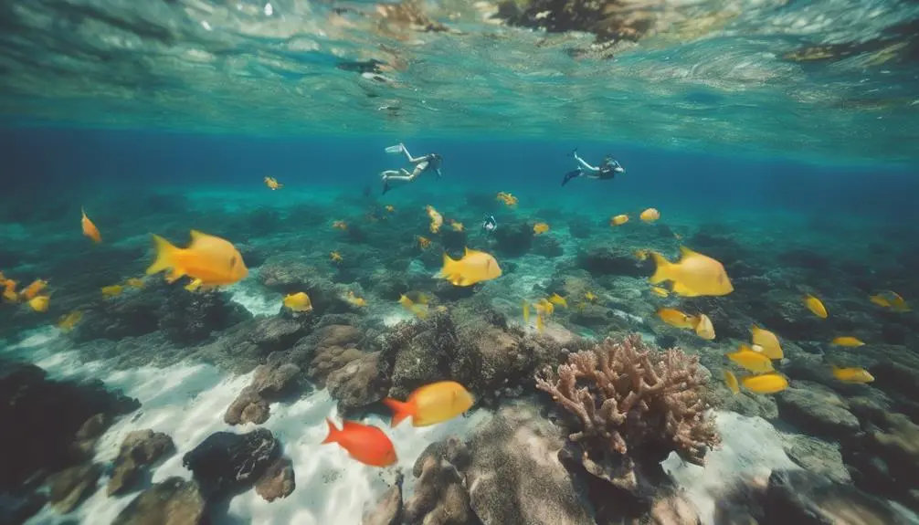 hawaii snorkeling with royalty