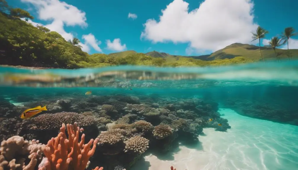 hawaiian beach with history