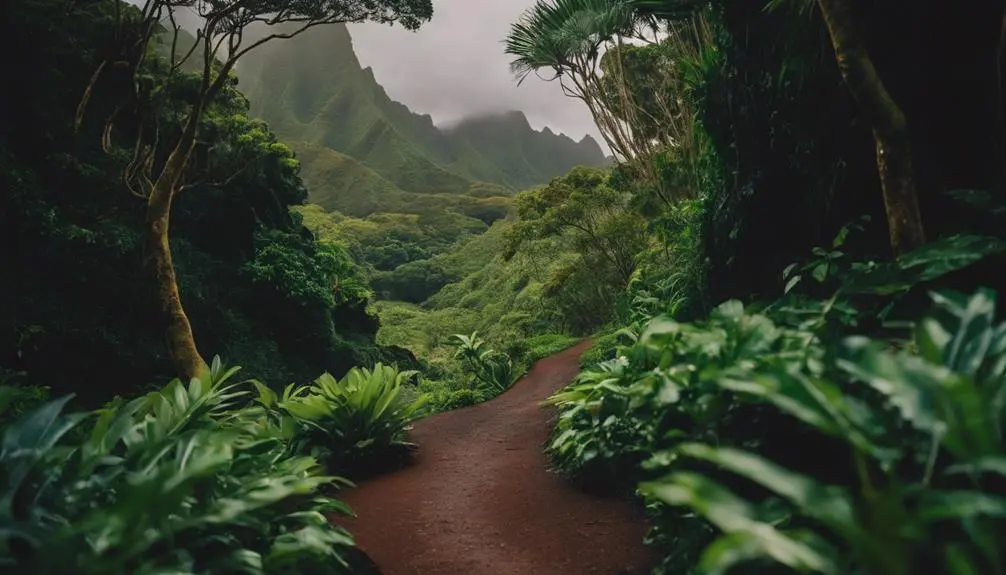 hidden trails of kauai