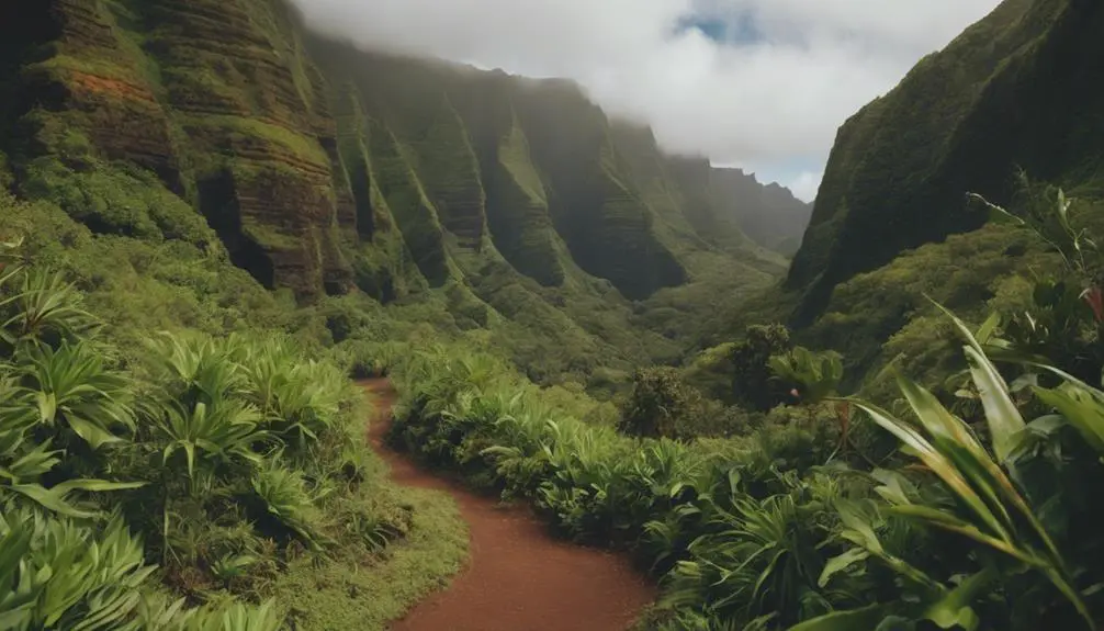 hiking in waimea canyon