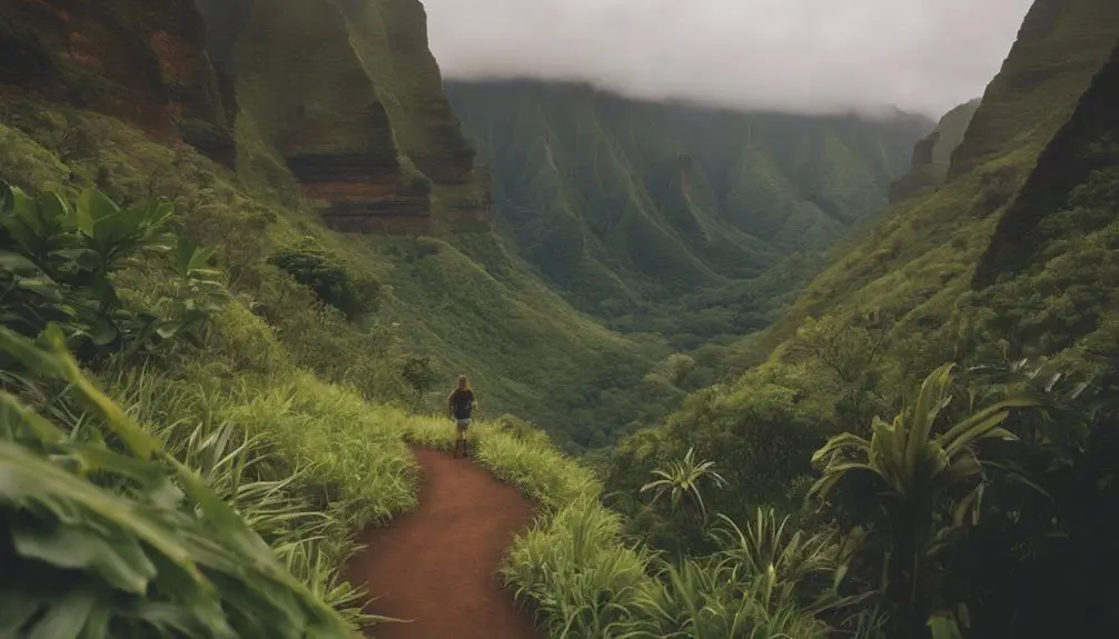 hiking pihea trail canyon