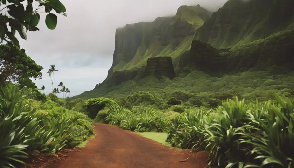 hiking trail in mountains