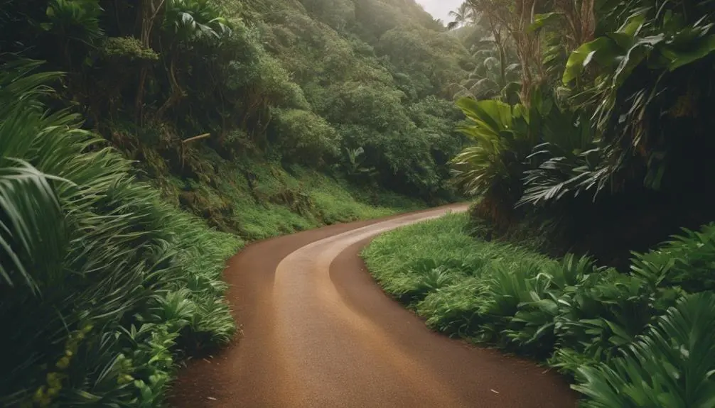 isolated getaway along kauai s coast