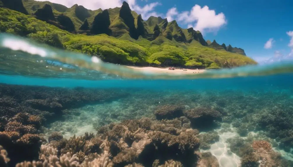 kauai snorkeling spots allure