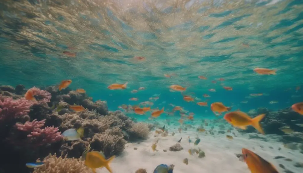 kauai snorkeling spots for beginners