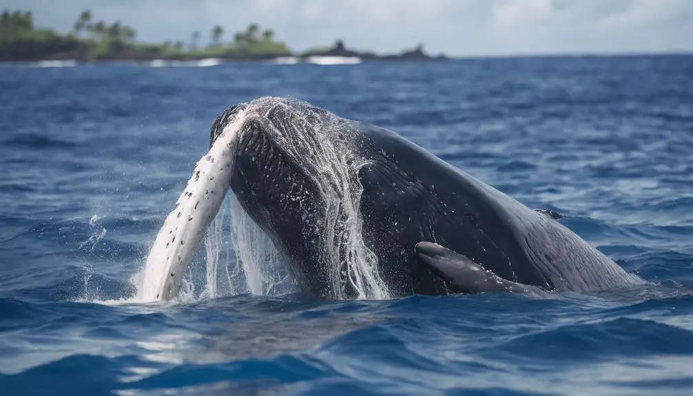 life s beginning and memories