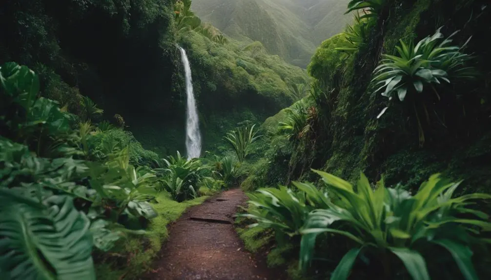 off the beaten path kauai discoveries