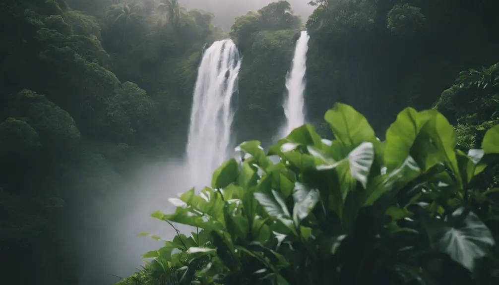 optimal vantage point selection