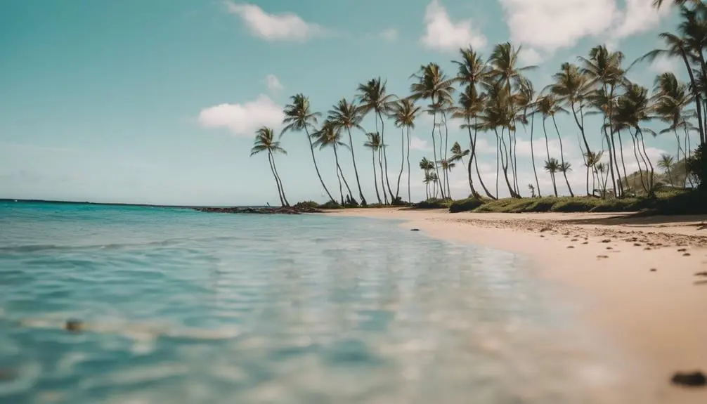 peaceful beach park paradise