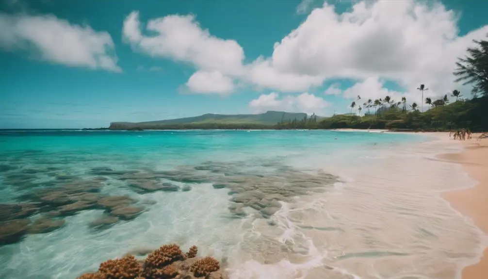 perfect spot for snorkeling