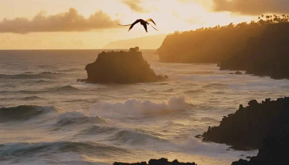 picturesque sunset at refuge