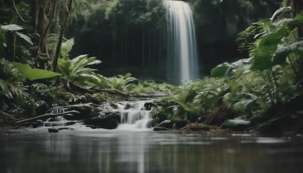 protecting nature through conservation