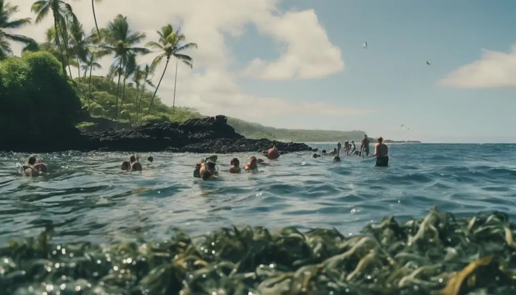 sandy shore in hawaii