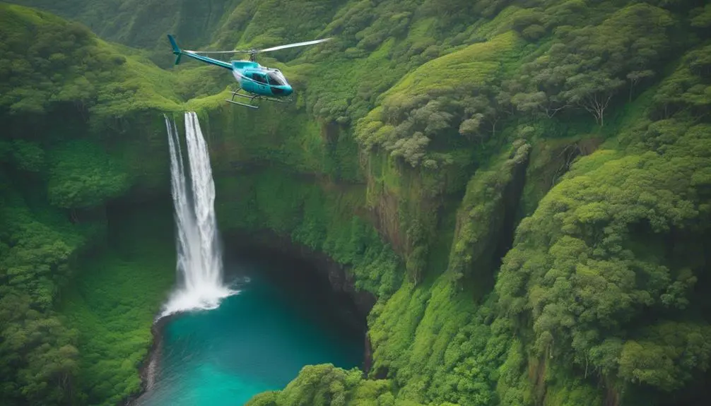 scenic aerial views paradise