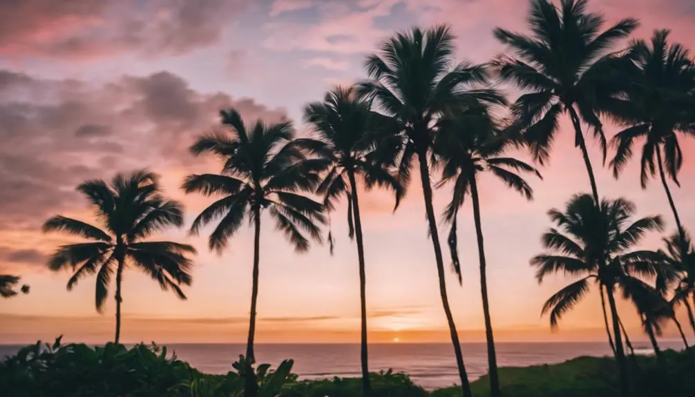 scenic kauai trails views