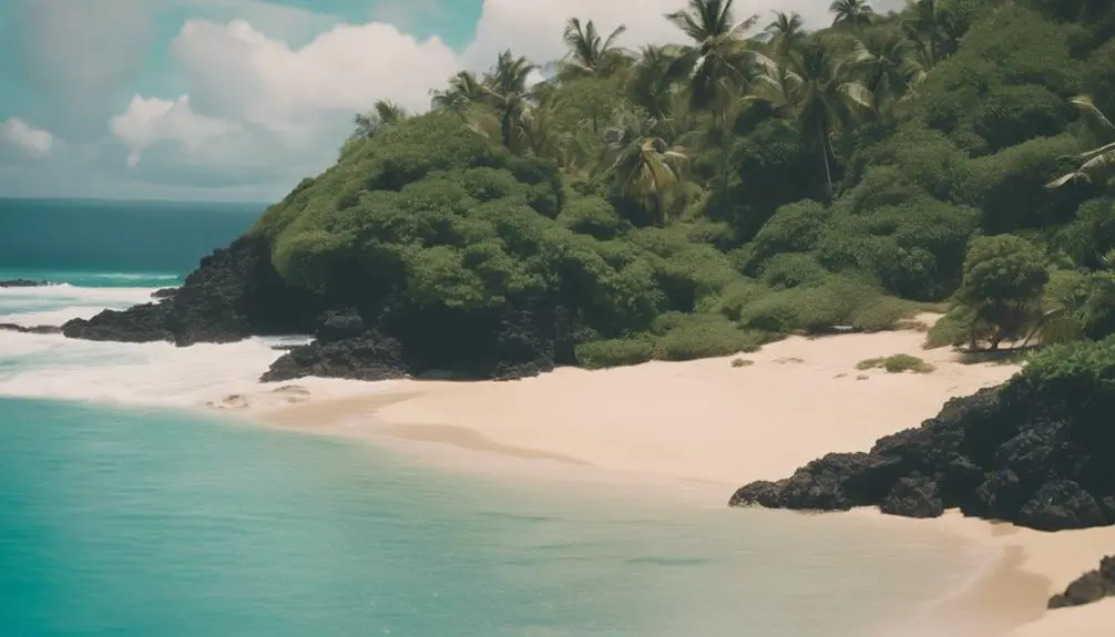 scenic kekaha beach paradise