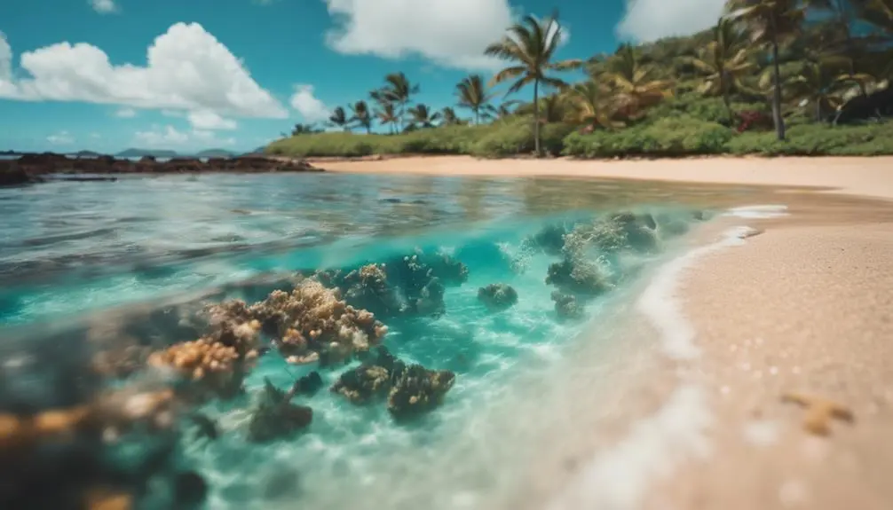 secluded beach with salt ponds