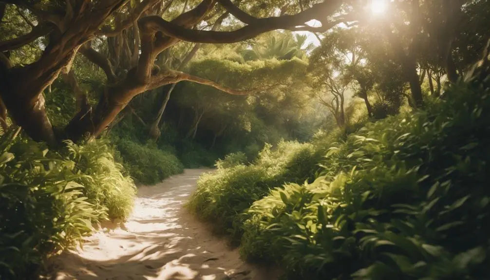 secluded coastal hiking paths