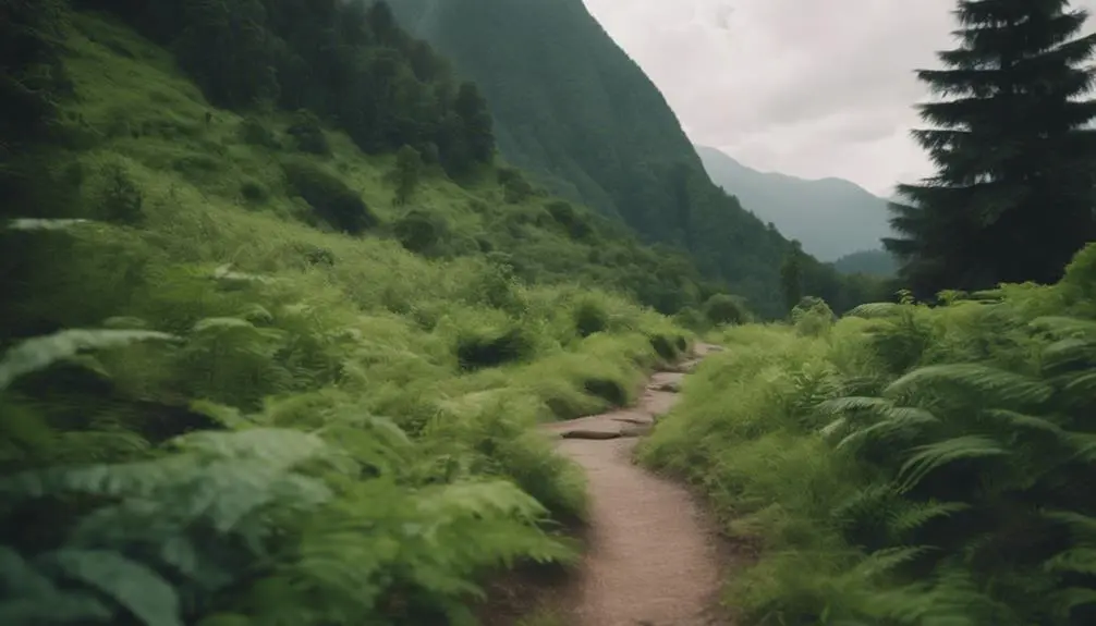 serene mountain pathway discovered