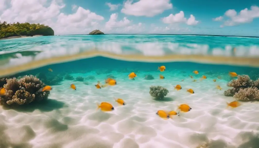 snorkeling at tunnels beach